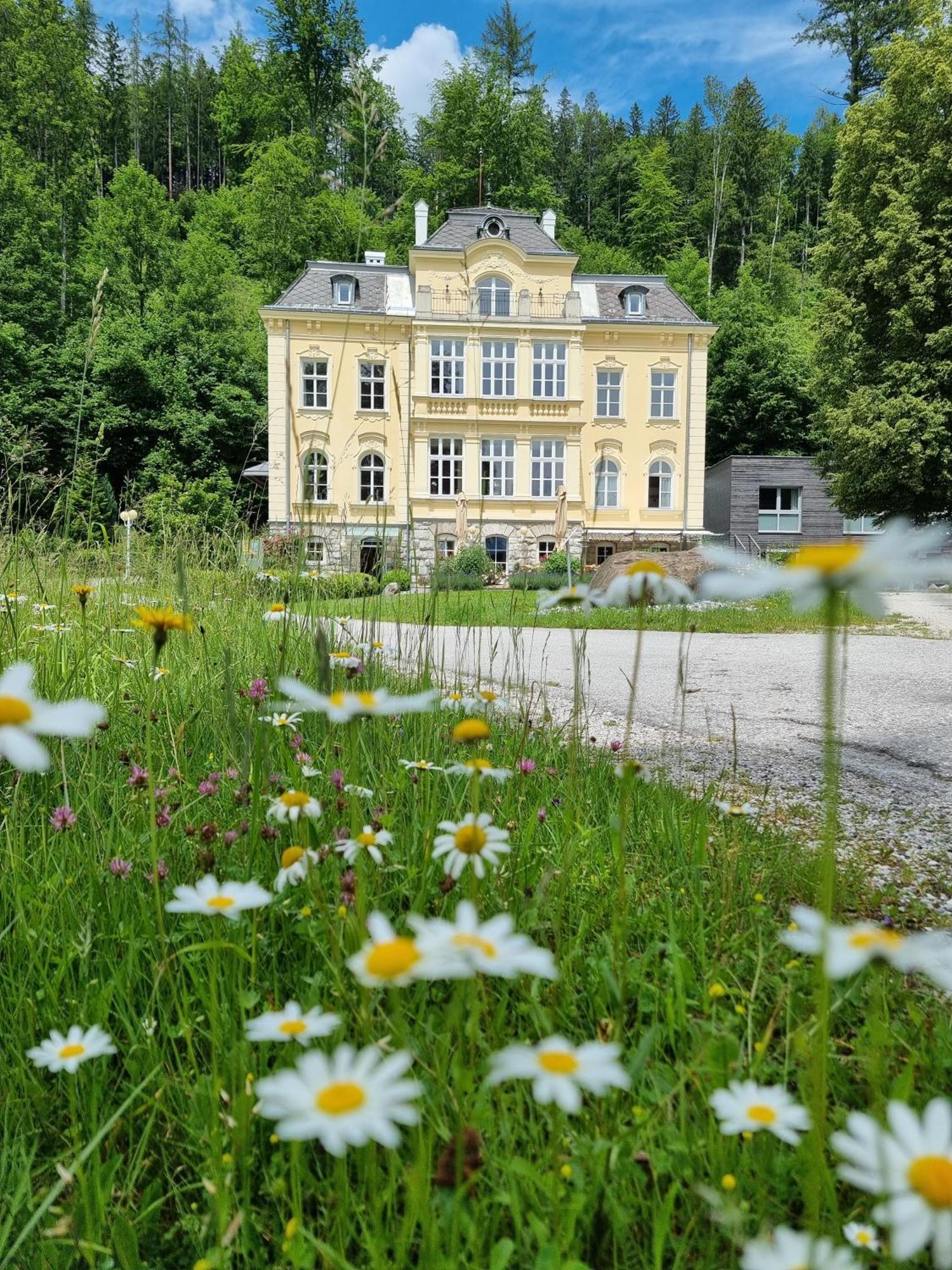 Villa Sonnwend National Park Lodge Rossleithen Buitenkant foto